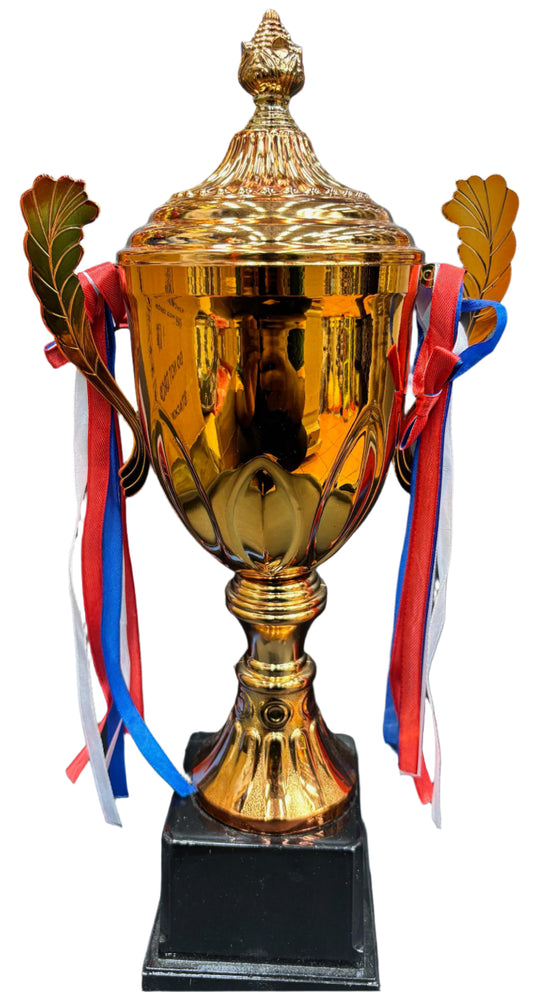 Medium Bronze Trophy