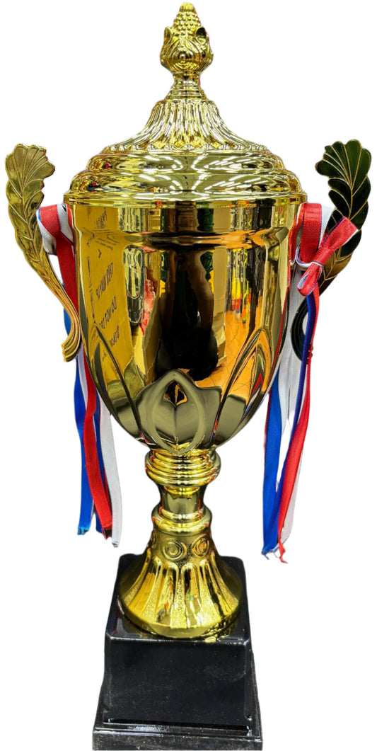 Medium Gold Trophy