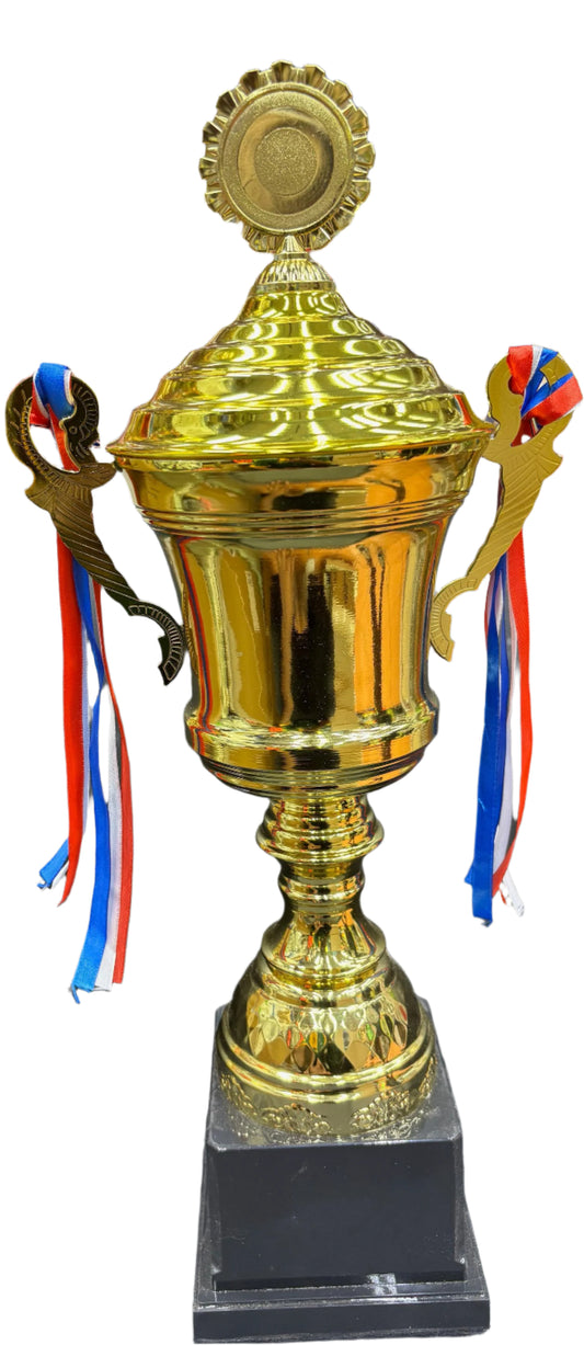 Large Gold Trophy