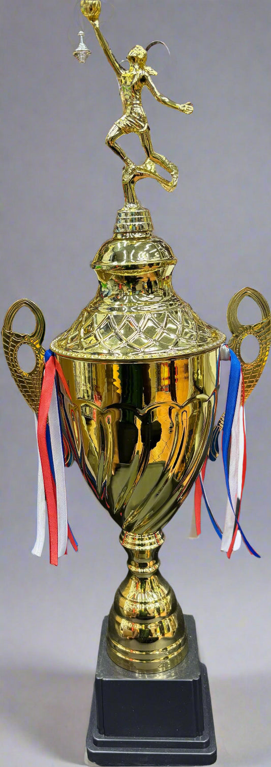 Large Netball Trophy
