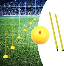 Training Detachable Agility Pole & Dome Base