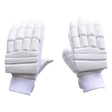 Cricket Batting Gloves