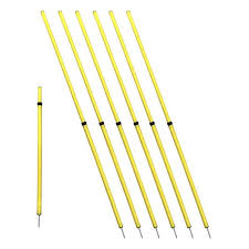 Soccer Agility Poles (10)