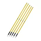 Soccer Agility Poles (10)