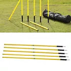Soccer Agility Poles (10)